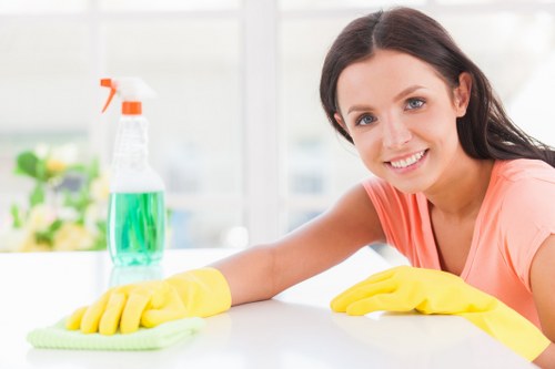 Professional stain removal for carpet in Southborough