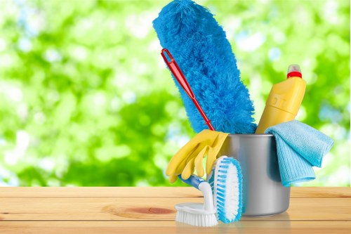 Deep cleaning equipment used for sofa cleaning in Southborough home