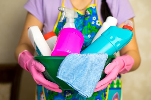 Accessibility request support for Southborough carpet cleaners users