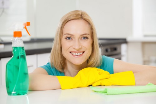 Professional curtain care and dust removal in Southborough
