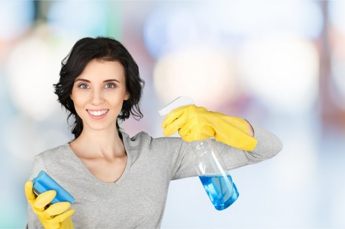 Removing dirt and stains during rug cleaning in Southborough