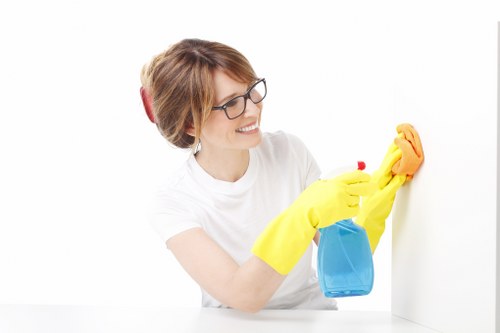 Enzymatic cleaning applied to carpet stains from pets in Southborough