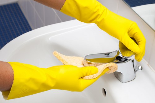 Home carpet deep cleaning to remove pet odours in Southborough